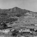 Exploring the Cultural and Religious Influences on Food Celebrations in Pinal County, Arizona