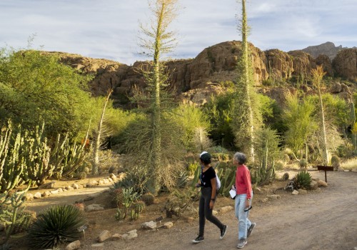 Exploring the Rich Food Celebrations in Pinal County, Arizona